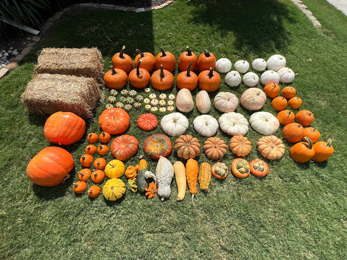 🎃 The Ultimate Fall Entry