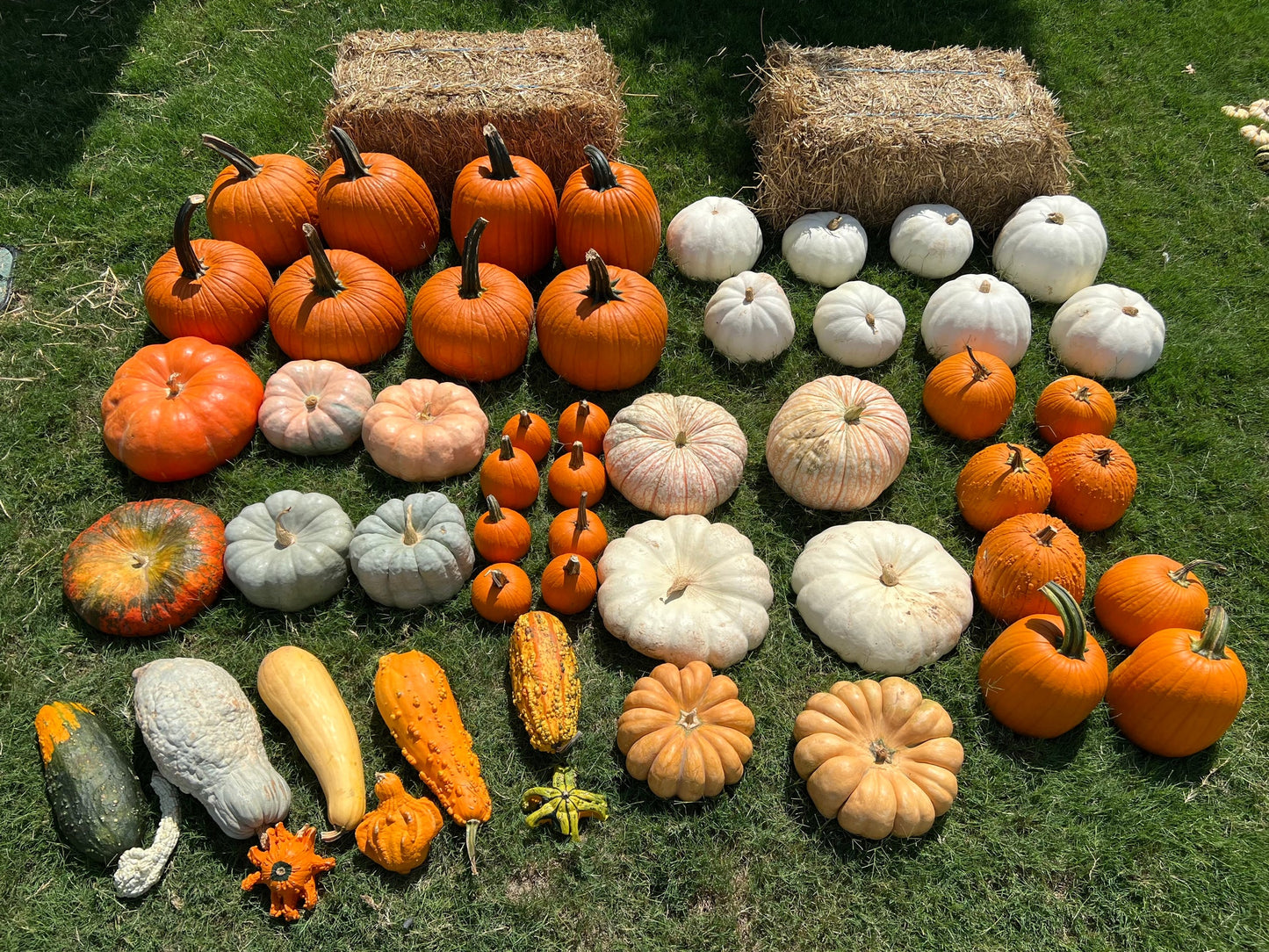 ✨ The Full Seasonal Entry