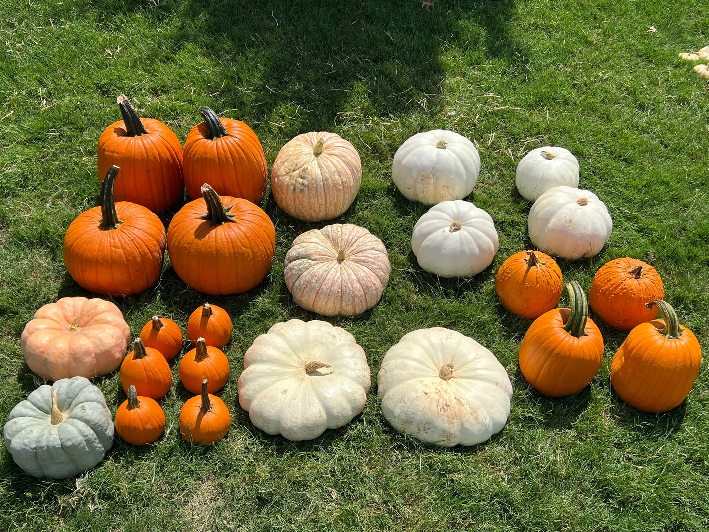 π The Essentials Entry